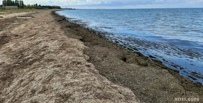 Bakalskaya spit, Crimea/ Бакальская коса, Крым #crimea #russia #summer  #nature #naturphotography #natgeo #nationalgeographic #dji #djimini… |  Instagram