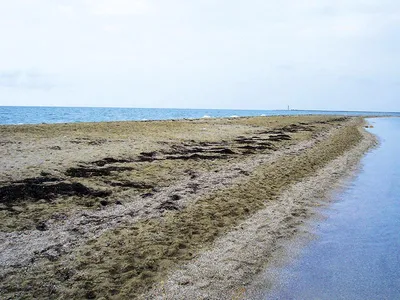 Бакальская коса в Крыма, дикий отдых и пляжи, природный заповедник