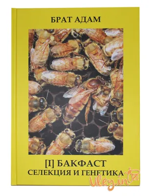 Архив Пчеломатки бакфаст, карника,пчелопакеты,пчелосемьи ✔️ 250 грн. ᐉ  Пчелопакеты в Кривом Роге на BON.ua 89848724