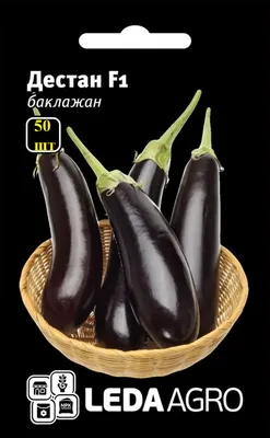 Баклажан Дестан F1, овальный, 50 шт (ЛАН): продажа, цена в Киеве. Семена и  рассада овощных культур от \"Ledaagro.Shop\" - 1317700103