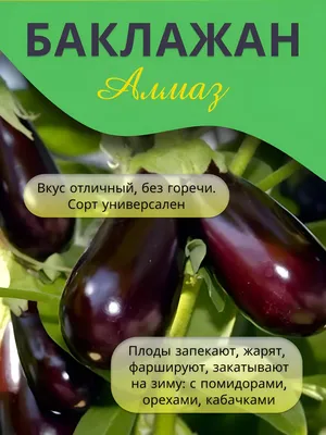 Купить семена Баклажаны, СМЕСЬ СОРТОВ (0,3 гр) в магазине ГринПрофи Тольятти