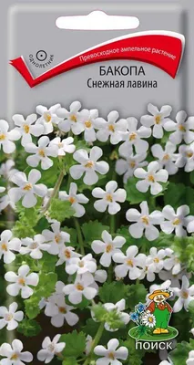 Бакопа Bacopa Double Snowball White | Flora Altay