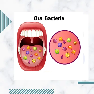 Бактерии во рту: какие из них полезны, а какие опасны - микробиом