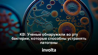 Бактерии Полости Рта Крупным Планом — стоковая векторная графика и другие  изображения на тему Бактерия - Бактерия, Болезнь, Векторная графика - iStock