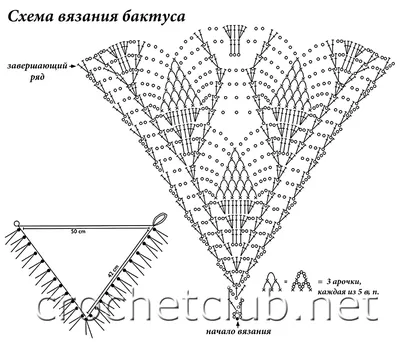 Бактус крючком схемы фото фото