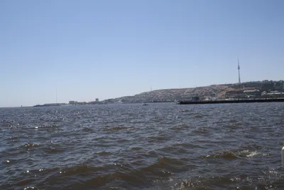 Инвесторам представили необычный курортно-жилой проект на Каспийском море  :: Город :: РБК Недвижимость