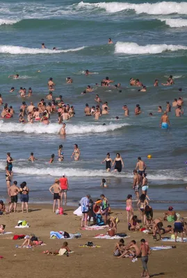 Из-за высоких показателей бактериологического загрязнения морской воды  посещение некоторых пляжей не рекомендуется - Информационно-культурный  портал