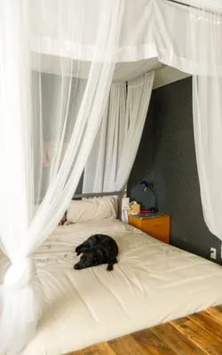 Балдахин над кроватью в спальне: руководство по созданию идеального будуара  [84 фото]