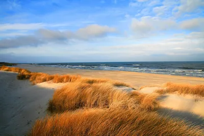 Почему стоит поехать на Балтийское море