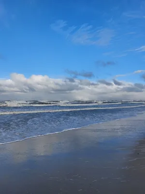 Балтийское море зимой - 59 фото