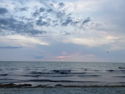 Какие впечатление оставило Балтийское море? | Туристы-гедонисты :-) | Дзен