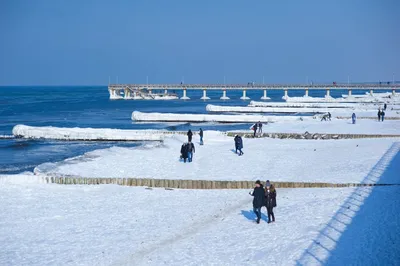 Стихия Балтийского моря (4 дня + ж/д или авиа) - Туры в Калининград из  Москвы от туроператора