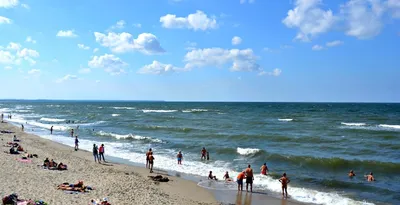 В Роспотребнадзоре объяснили, почему позеленела вода в Балтийском море -  РИА Новости, 22.07.2022