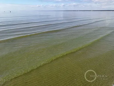Балтийское море в Питере: фото в HD качестве, бесплатно для скачивания | Балтийское  море в питере Фото №1301395 скачать