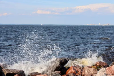 Финский залив в Питере (57 фото) - 57 фото