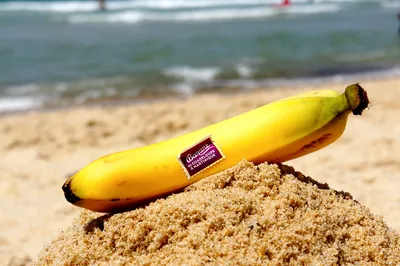 Один Желтый Банан С Голубым Морем И Небом — стоковые фотографии и другие  картинки Банан - Банан, Без людей, Время года - iStock