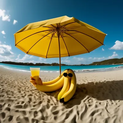 Не едете на море? Это не повод отказывать себе в удовольствии – в Лиде по  воде плавает «банан»!