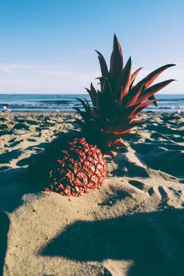 Банан на пляже, 3D» — создано в Шедевруме