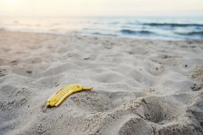 Женщина на тропическом пляже есть банан на море Стоковое Изображение -  изображение насчитывающей солнце, люди: 100297629