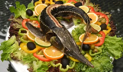 Фаршированная щука. Банкетное блюдо на Новогодний стол - Статьи о рыбалке