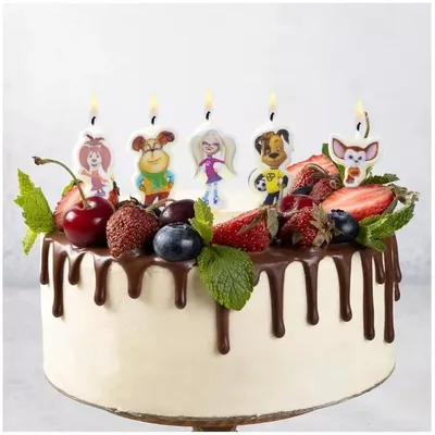 Торты Пряники Минск🌸Татьяна on Instagram: “Тортик для Виктории с её  любимыми героями, весёлая семья Барбоскины🐶🐩🐕😻 ______… | Desserts,  Cake, Birthday cake