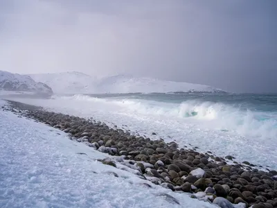 Баренцево море фото фото