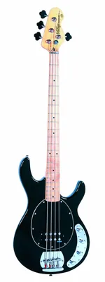Бас-гитара Vintage V964BLK за 37425 руб; Гитары в магазине электронных  инструментов и оборудования Music Land