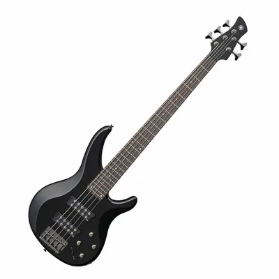 IBANEZ RGB300-BKF - бас-гитара формы RG, 4 струны, цвет - чёрный купить в  магазине для музыкантов Рок-н-Ролл