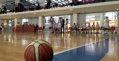 Девушки Средней Школы Баскетбол Игры — стоковые фотографии и другие  картинки Баскетбол - Баскетбол, Баскетбольный мяч, Девушки - iStock