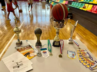 Что лучше волейбол или баскетбол? | RusVolley - школа волейбола в Москве |  Дзен