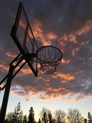 Красивая Молодая Женщина Играет В Баскетбол На Открытом Воздухе — стоковые  фотографии и другие картинки Бросать - iStock