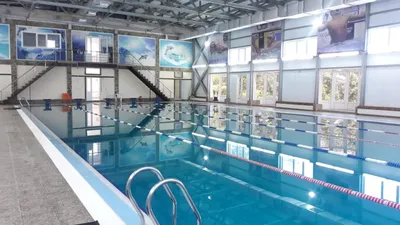 Дельфин, бассейн, ул. 20-летия Победы, 85А, Соликамск — Яндекс Карты