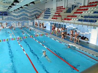 Дельфин\", бассейн, школа плавания на Нижегородской в Новосибирске |  KidsReview.ru