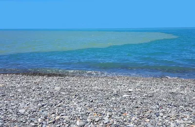 В Грузии проверили качество воды в Черном море – последние данные -  04.07.2023, Sputnik Грузия