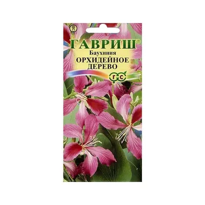 Купить Баухиния Орхидейное дерево Мн. Комн. Цв/П - АгроНика