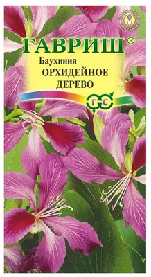 Баухиния \"Орхидейное дерево\" семена цветов | AliExpress