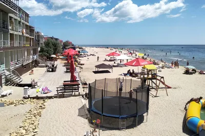 ЗАТОКА: отдых на Черном море 2024 - Одесская область
