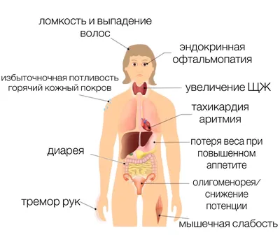 Болезнь или мутация: что не так с «глазастой» принцессой Беатрис