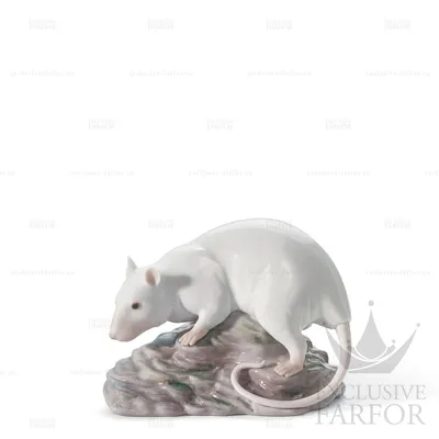 Белая крыса 3D модель - Скачать Животные на 3DModels.org