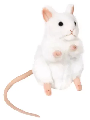 Белая мышь 3D Модель $15 - .3ds .blend .fbx .obj - Free3D