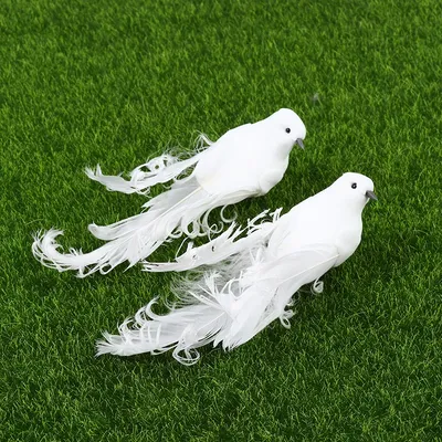 Белая птица с длинным клювом Стоковое Изображение - изображение  насчитывающей природа, одичало: 154867293