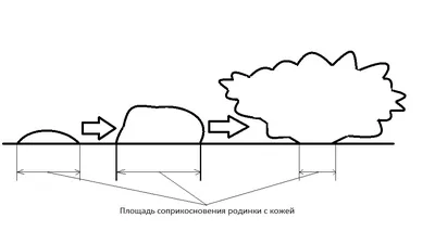 О чем говорят красные родинки на теле? — блог медицинского центра ОН Клиник