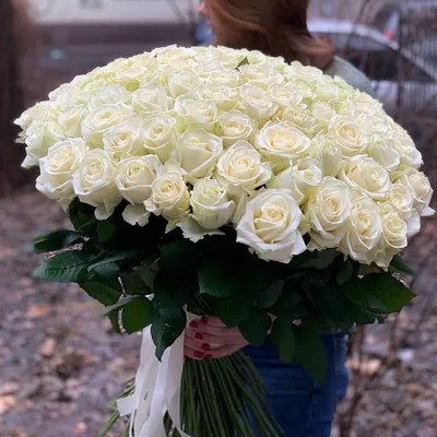 Белая роза купить по цене 250 рублей в Хабаровске — интернет магазин Shop  Flower.