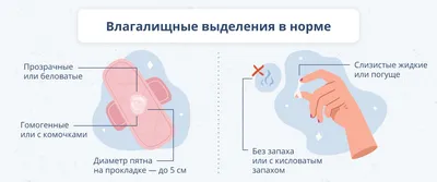 Заметила у дочки выделения на нижнем белье: стоит ли беспокоиться? | Мел