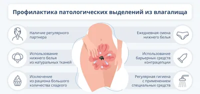 Развитие половой системы у девочек-подростков | Частная школа ГОРОД СОЛНЦА  | Дзен