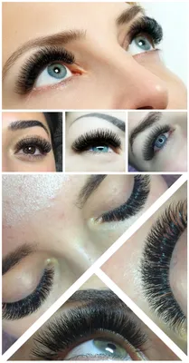 Беличий эффект. Схема наращивания ресниц | Bello Lashes