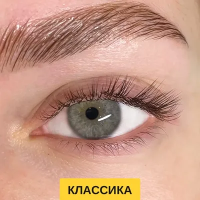 BarBara Ресницы для наращивания микс Elegant L 0.10, mix 5-11 mm