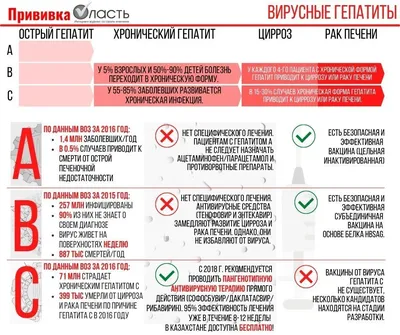 Чем опасны вирусные гепатиты А, В и С? - Аналитический интернет-журнал  Власть