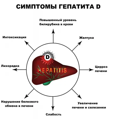 Вирусный Гепатит D - причины появления, симптомы заболевания, диагностика и  способы лечения