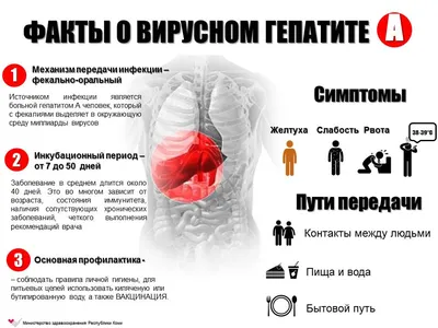 Аптека Ригла – забронировать лекарства в аптеке и забрать самовывозом по  низкой цене